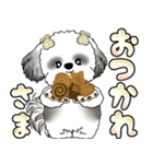 シーズー犬 「毎日よく使う言葉」（個別スタンプ：18）