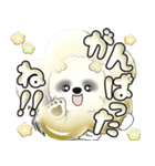 シーズー犬 「毎日よく使う言葉」（個別スタンプ：19）