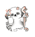 シーズー犬 「毎日よく使う言葉」（個別スタンプ：20）