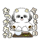 シーズー犬 「毎日よく使う言葉」（個別スタンプ：21）