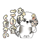 シーズー犬 「毎日よく使う言葉」（個別スタンプ：22）
