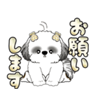 シーズー犬 「毎日よく使う言葉」（個別スタンプ：26）