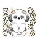 シーズー犬 「毎日よく使う言葉」（個別スタンプ：27）