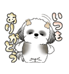 シーズー犬 「毎日よく使う言葉」（個別スタンプ：28）