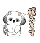 シーズー犬 「毎日よく使う言葉」（個別スタンプ：29）