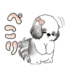 シーズー犬 「毎日よく使う言葉」（個別スタンプ：30）