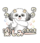 シーズー犬 「毎日よく使う言葉」（個別スタンプ：31）