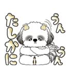 シーズー犬 「毎日よく使う言葉」（個別スタンプ：34）