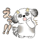 シーズー犬 「毎日よく使う言葉」（個別スタンプ：35）