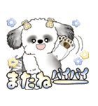 シーズー犬 「毎日よく使う言葉」（個別スタンプ：38）