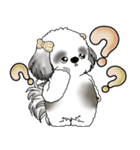 シーズー犬 「毎日よく使う言葉」（個別スタンプ：39）