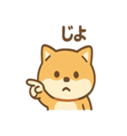 柴犬のしば丸がほっこり笑顔（個別スタンプ：1）