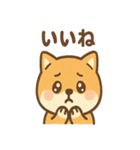 柴犬のしば丸がほっこり笑顔（個別スタンプ：4）