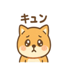 柴犬のしば丸がほっこり笑顔（個別スタンプ：5）
