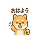 柴犬のしば丸がほっこり笑顔（個別スタンプ：11）