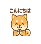 柴犬のしば丸がほっこり笑顔（個別スタンプ：12）