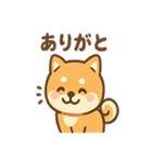 柴犬のしば丸がほっこり笑顔（個別スタンプ：14）