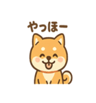柴犬のしば丸がほっこり笑顔（個別スタンプ：15）