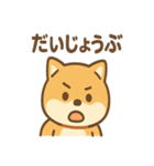 柴犬のしば丸がほっこり笑顔（個別スタンプ：19）
