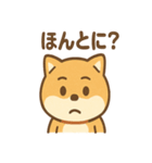 柴犬のしば丸がほっこり笑顔（個別スタンプ：23）