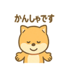 柴犬のしば丸がほっこり笑顔（個別スタンプ：31）