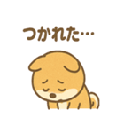 柴犬のしば丸がほっこり笑顔（個別スタンプ：34）