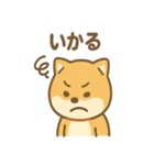 柴犬のしば丸がほっこり笑顔（個別スタンプ：37）