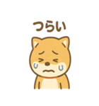 柴犬のしば丸がほっこり笑顔（個別スタンプ：38）