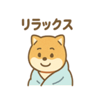 柴犬のしば丸がほっこり笑顔（個別スタンプ：40）