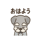 まじめ顔シュナの日常スタンプ（個別スタンプ：2）