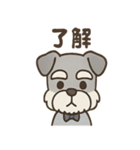 まじめ顔シュナの日常スタンプ（個別スタンプ：3）