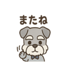 まじめ顔シュナの日常スタンプ（個別スタンプ：6）