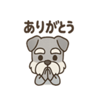 まじめ顔シュナの日常スタンプ（個別スタンプ：7）