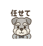 まじめ顔シュナの日常スタンプ（個別スタンプ：8）