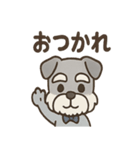 まじめ顔シュナの日常スタンプ（個別スタンプ：10）