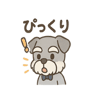まじめ顔シュナの日常スタンプ（個別スタンプ：11）