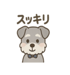 まじめ顔シュナの日常スタンプ（個別スタンプ：12）