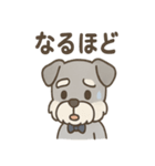 まじめ顔シュナの日常スタンプ（個別スタンプ：14）