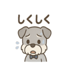まじめ顔シュナの日常スタンプ（個別スタンプ：16）
