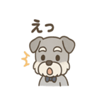 まじめ顔シュナの日常スタンプ（個別スタンプ：17）