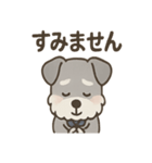 まじめ顔シュナの日常スタンプ（個別スタンプ：18）