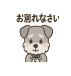 まじめ顔シュナの日常スタンプ（個別スタンプ：20）