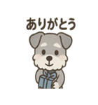 まじめ顔シュナの日常スタンプ（個別スタンプ：21）