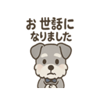 まじめ顔シュナの日常スタンプ（個別スタンプ：22）