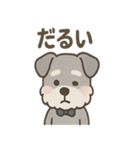 まじめ顔シュナの日常スタンプ（個別スタンプ：23）