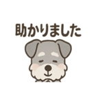 まじめ顔シュナの日常スタンプ（個別スタンプ：24）