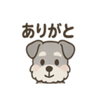 まじめ顔シュナの日常スタンプ（個別スタンプ：26）