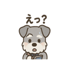 まじめ顔シュナの日常スタンプ（個別スタンプ：29）