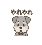 まじめ顔シュナの日常スタンプ（個別スタンプ：30）