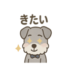 まじめ顔シュナの日常スタンプ（個別スタンプ：37）